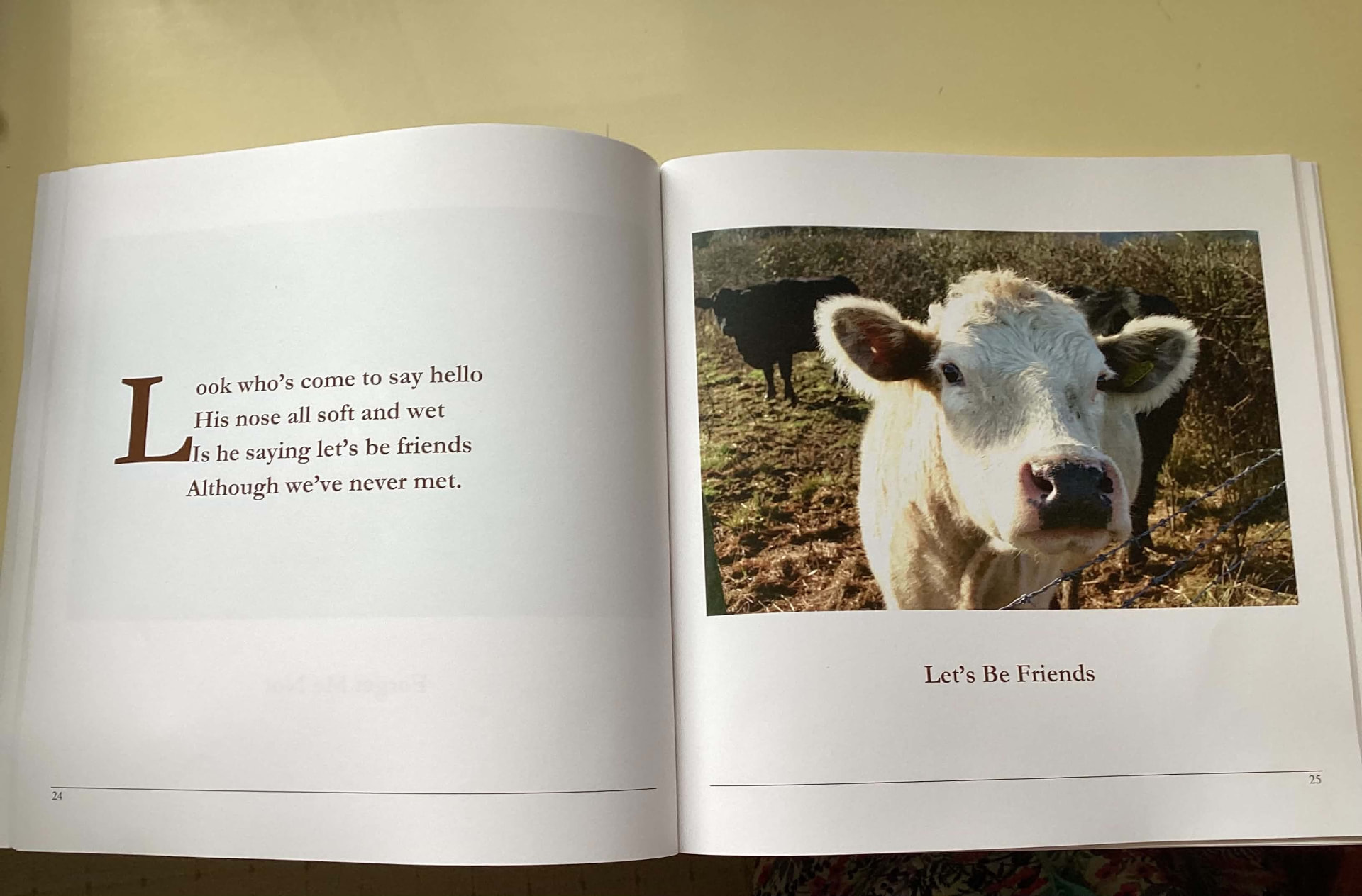 An open spread from Valeries Gallery: Pictures and Poems, showing the poem 'Look who's come to say hello' beside the photograph 'Let's Be Friends'